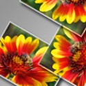 CSS3 Rotationen im IE